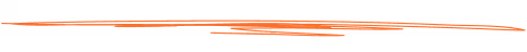 section line